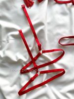 ست بادی هارنسی و گارتر پا قرمز - Image 5