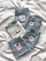 پک  شورت نخی عروسکی - Image 4