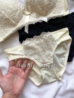 ست اسفنجی اروپایی - Image 6