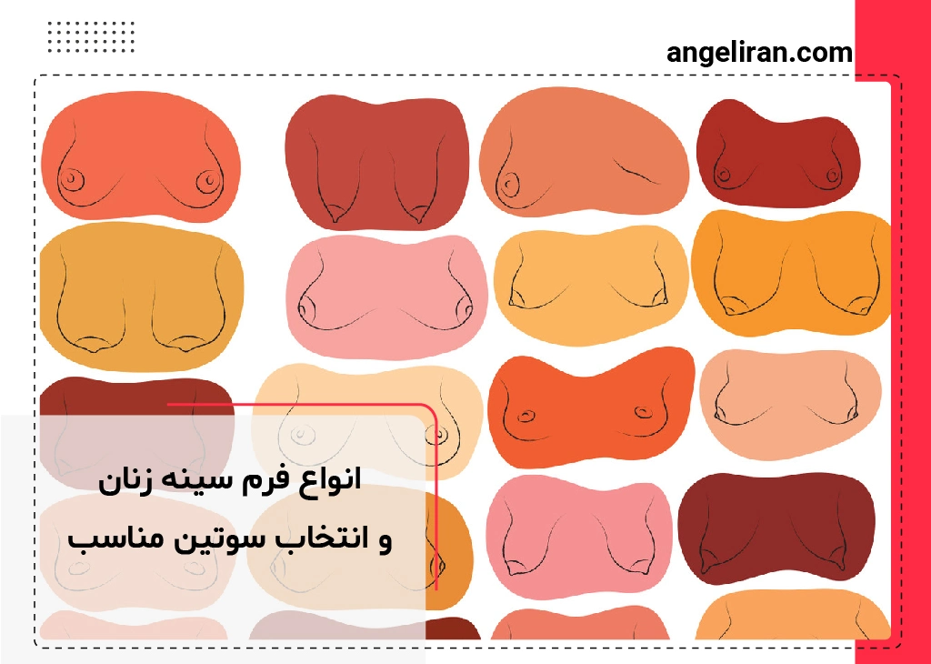 انواع فرم سينه زنان و انتخاب سوتین مناسب